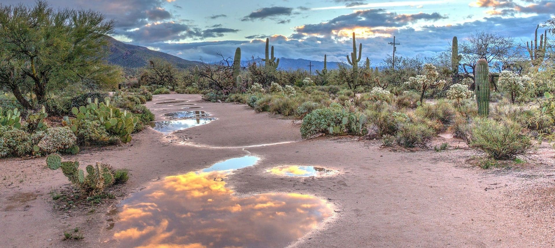 A desert with some water on the ground